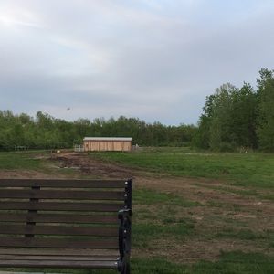 Meet your Posher, Gabriella